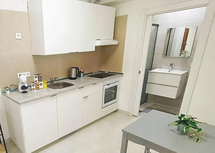 Acogedor Miniestudio En Daire